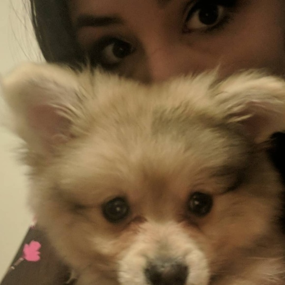 Meet your Posher, Rachael - Picture 3 of 6